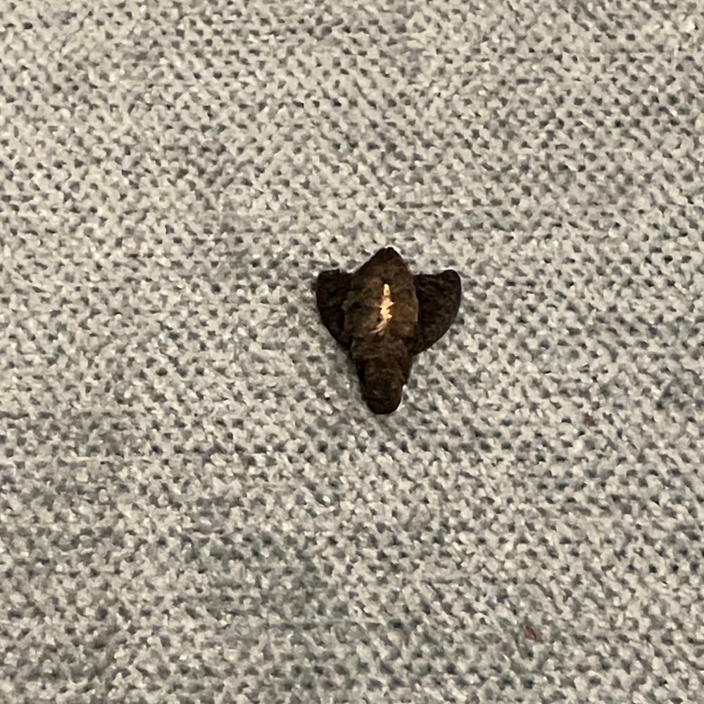 Black Button - Picture 2 of 2